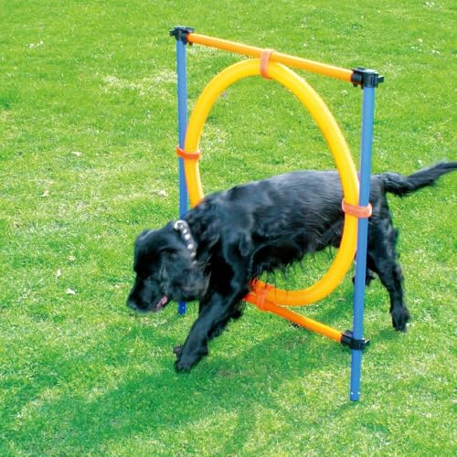 PAWISE Dog Training Exercise Equipment,Dog Agility Training Equipment,Dog Jump Ring Outdoor,Playground Equipment Outdoor